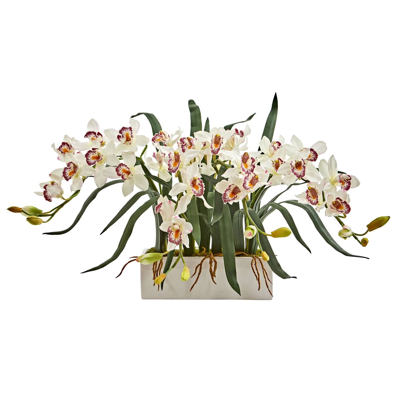 15" White Boat Orchid Arrangement in White Vase